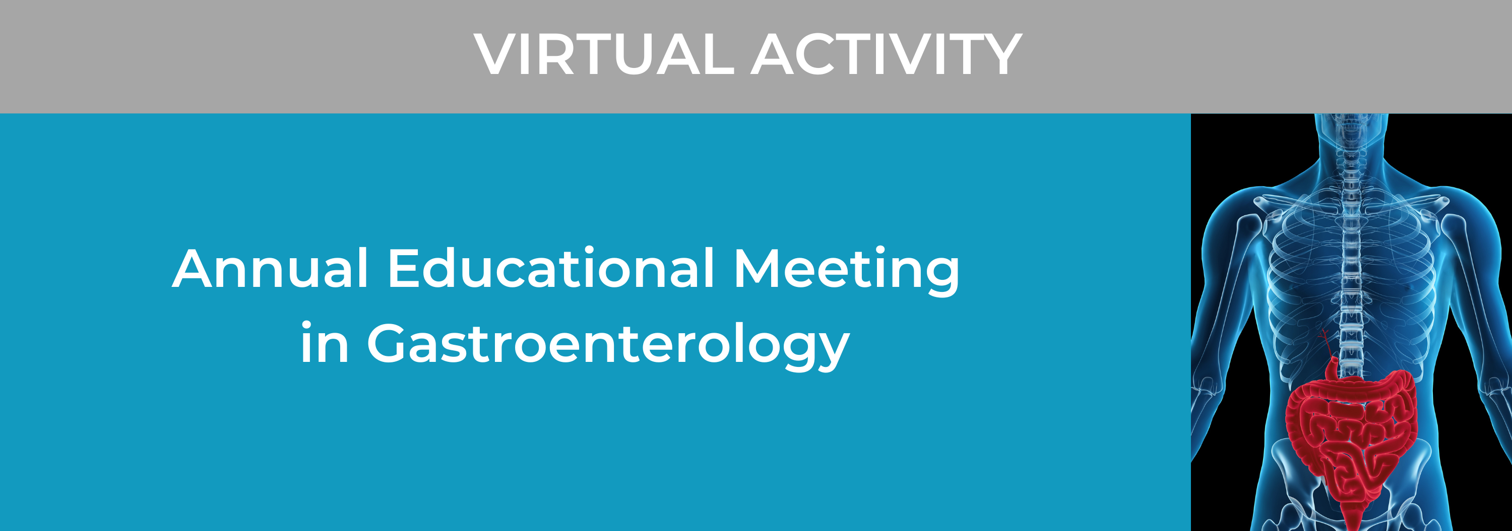23rd Annual Educational Meeting in Gastroenterology Banner